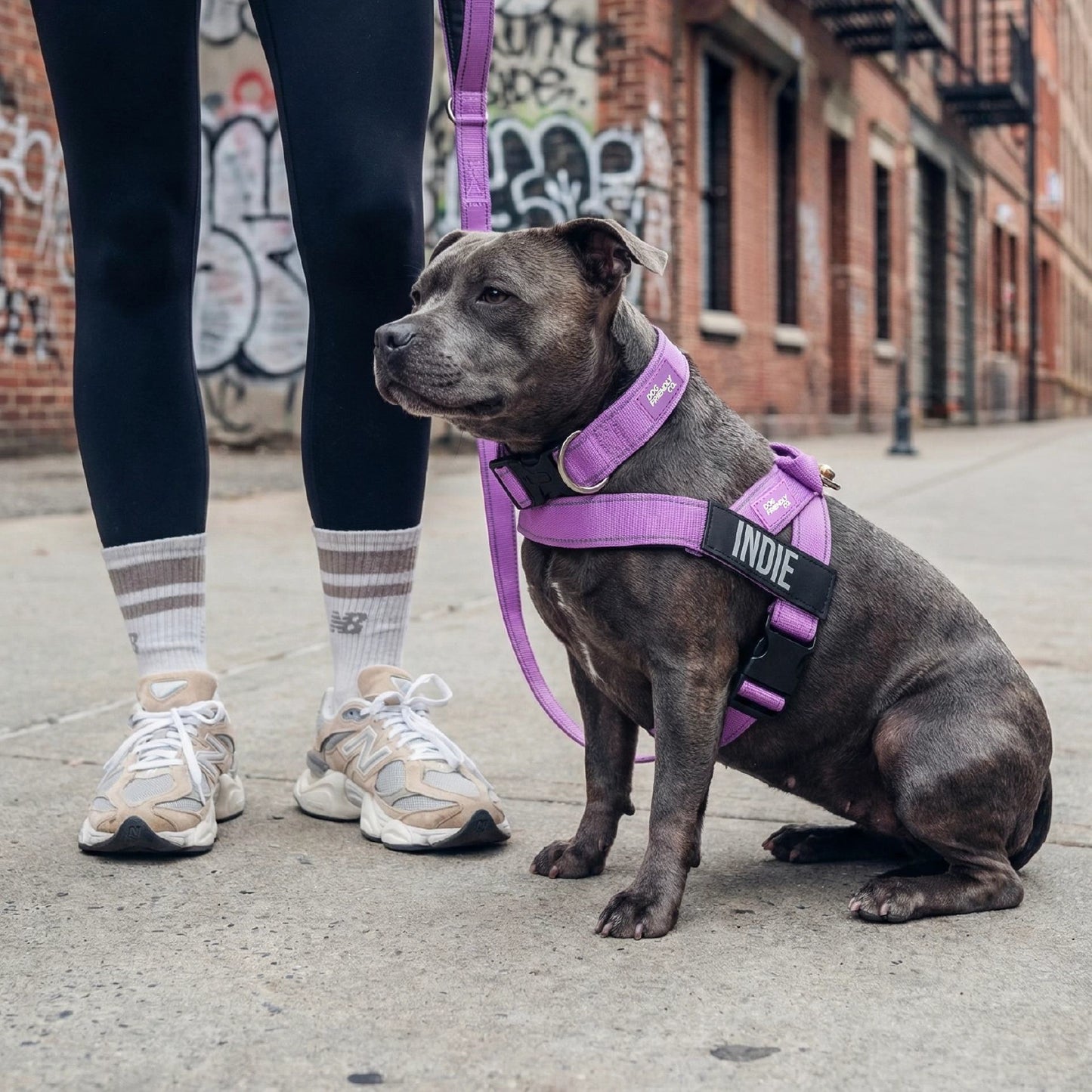 Dog Lovers Pack - Purple