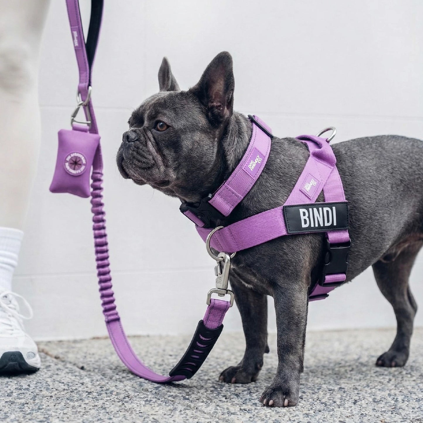 Dog Lovers Pack - Purple