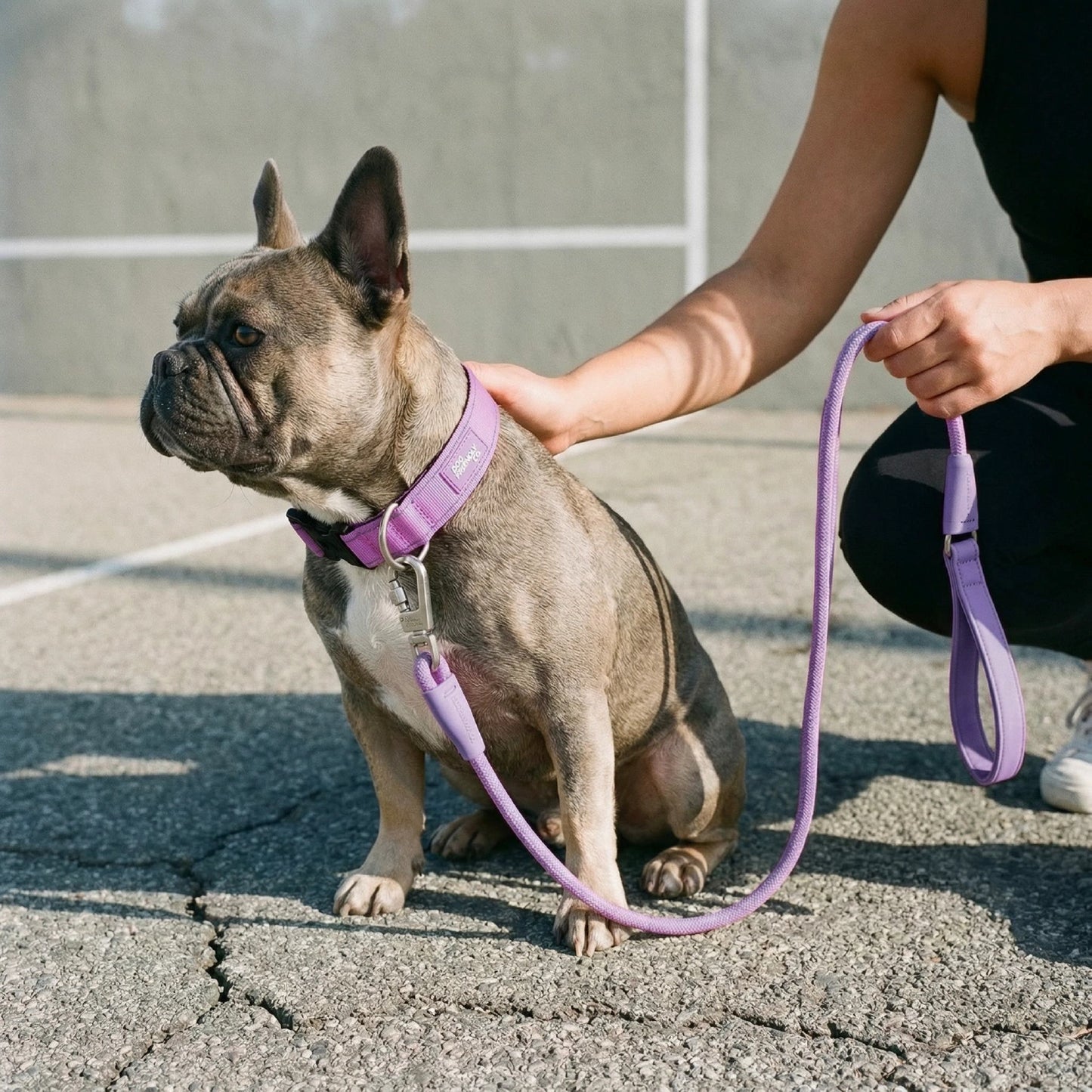 Dog Lovers Pack - Purple