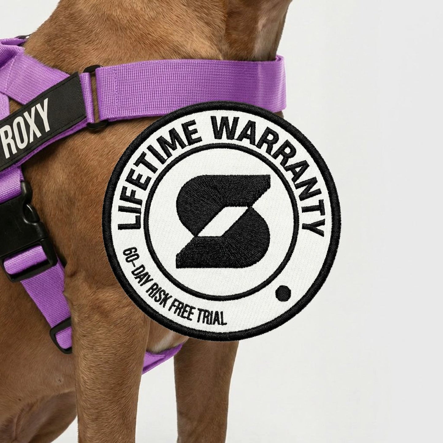 Dog Lovers Pack - Purple