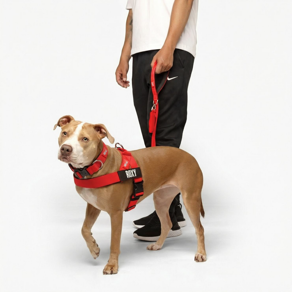 Dog Lovers Pack