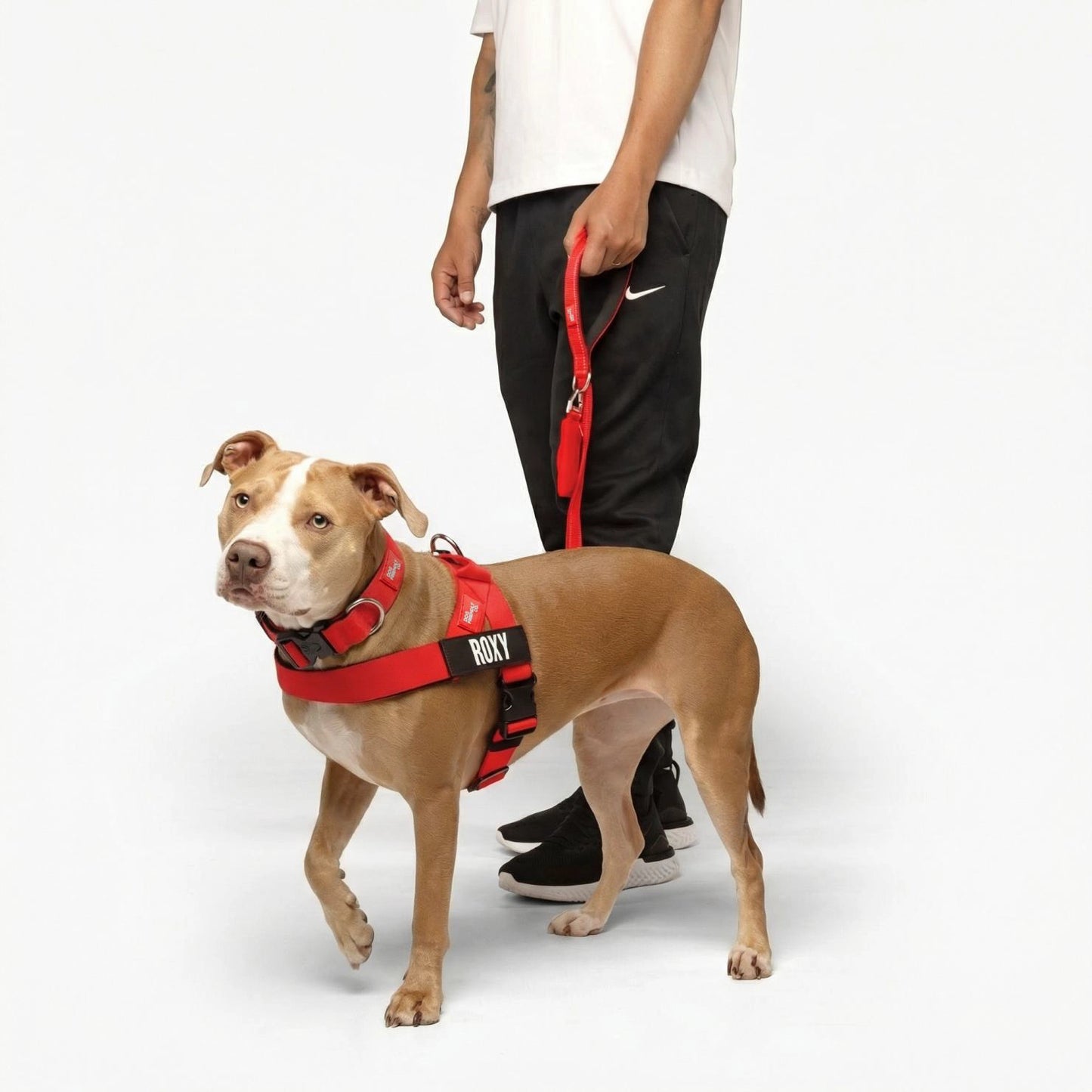 Dog Lovers Pack - Red