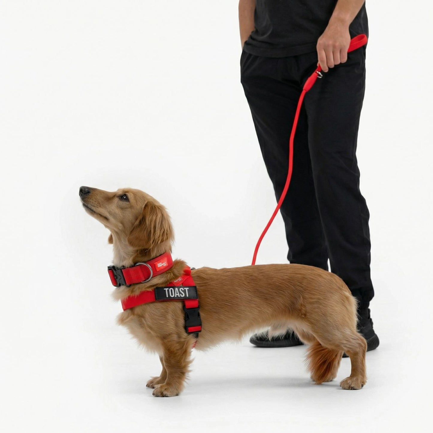 Dog Lovers Pack - Red