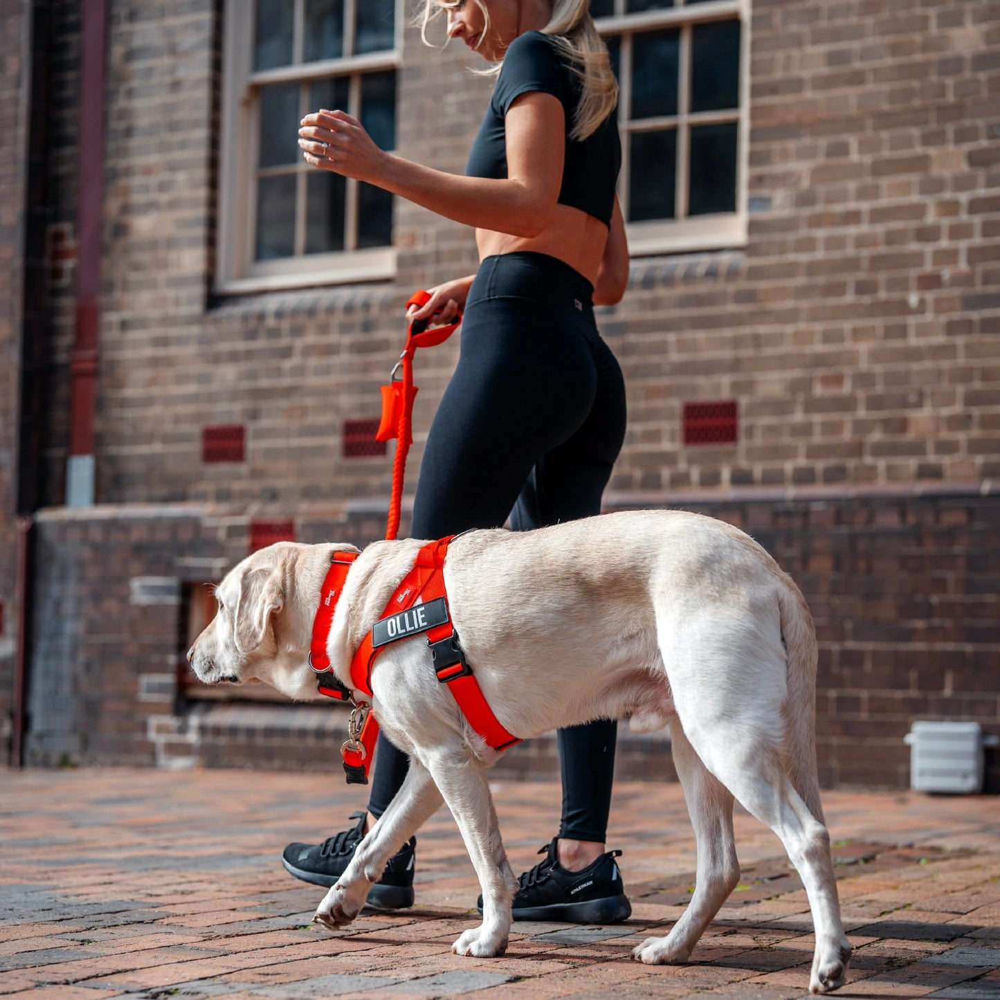 Dog Lovers Pack - Red