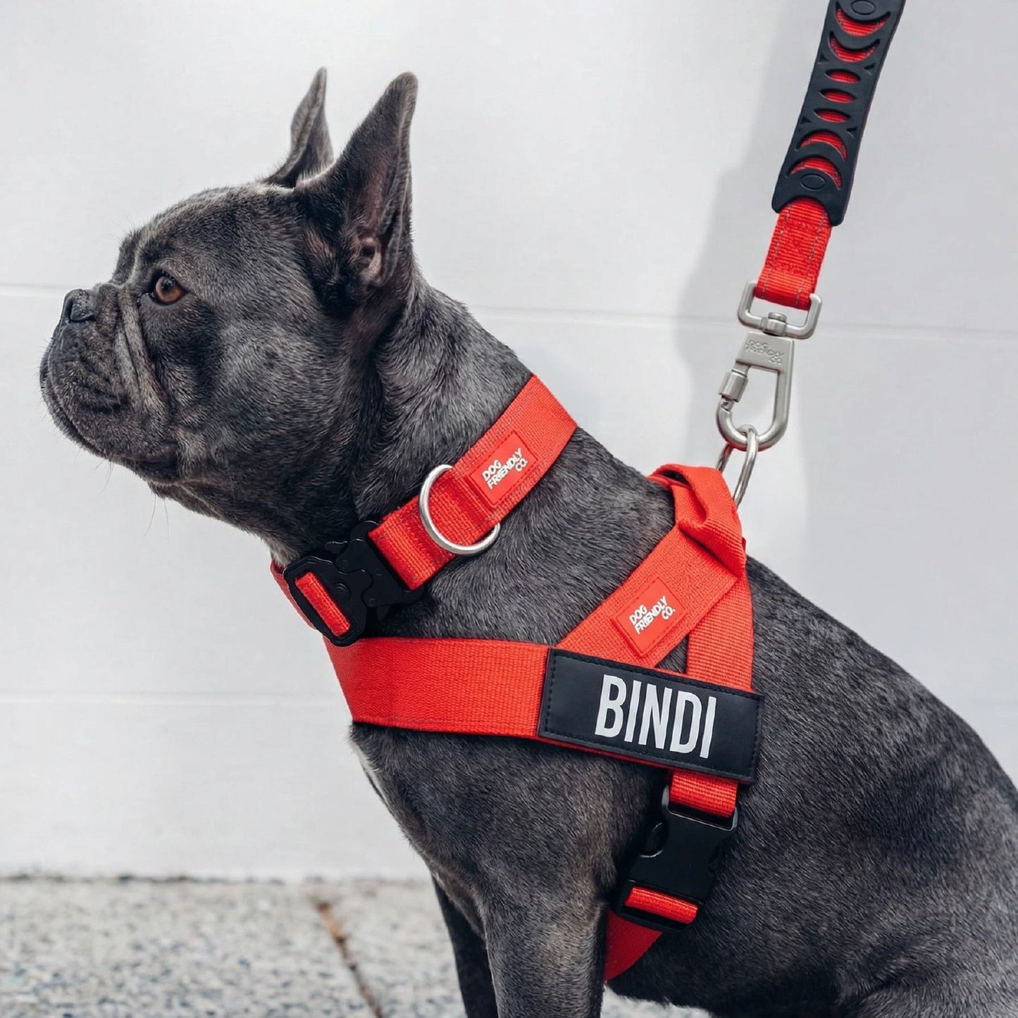 Dog Lovers Pack - Red