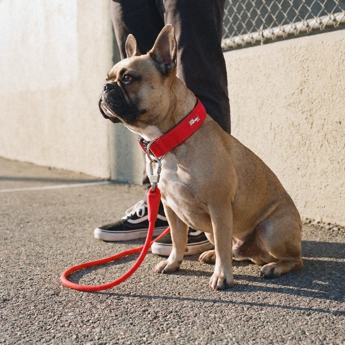 Dog Lovers Pack - Red