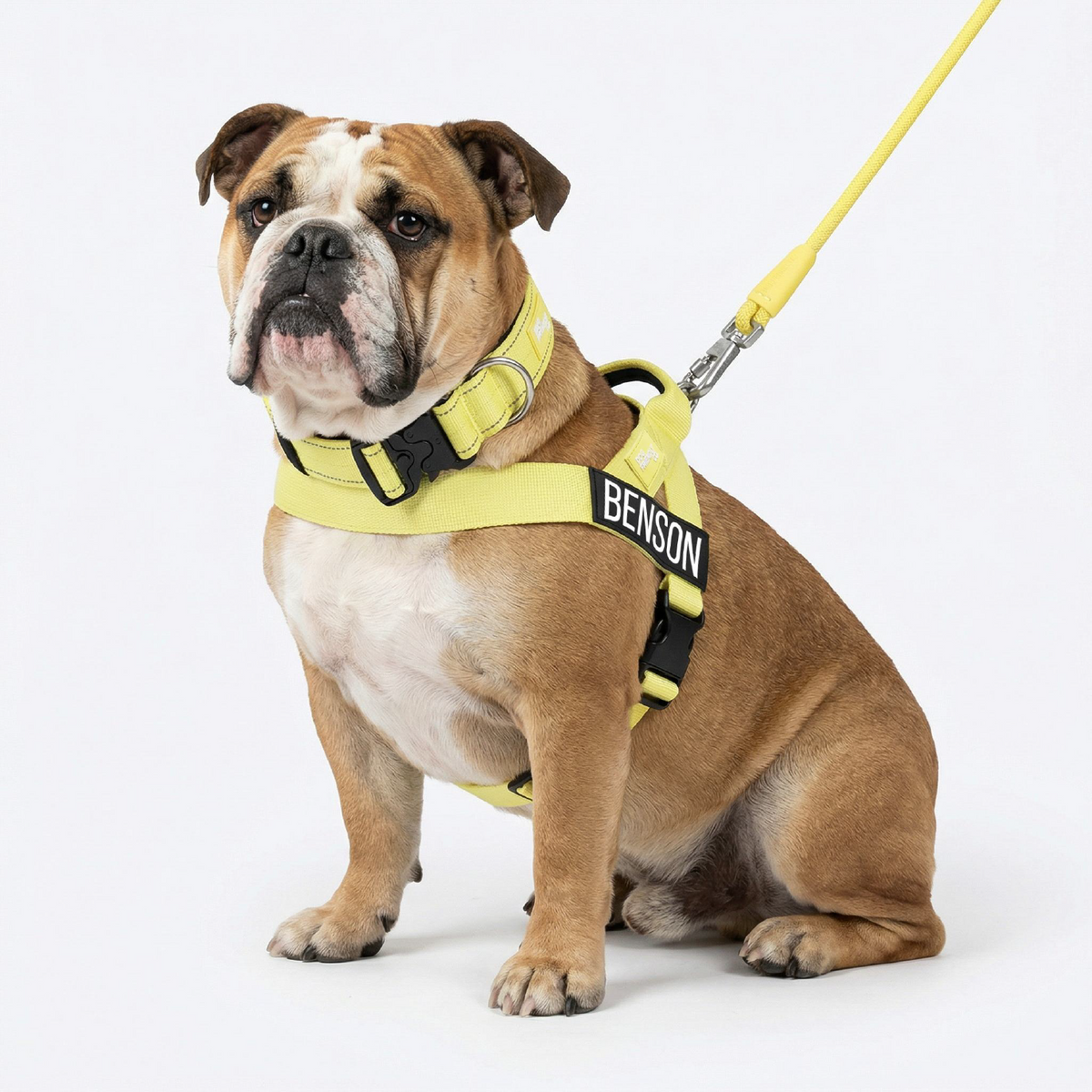 Dog Lovers Pack
