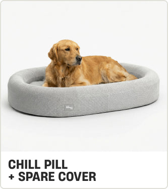 CHILL PILL + SPARE COVER