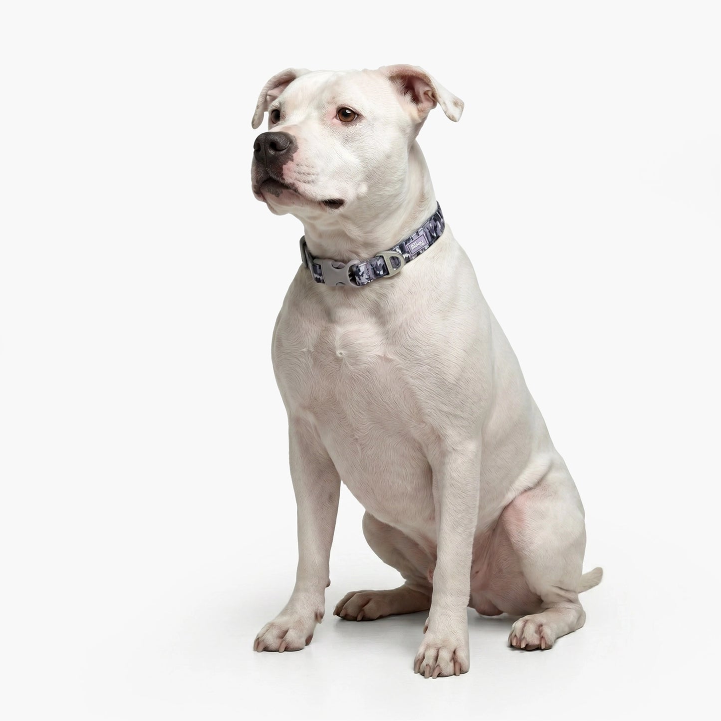 Essentials Collar - Grey Camo
