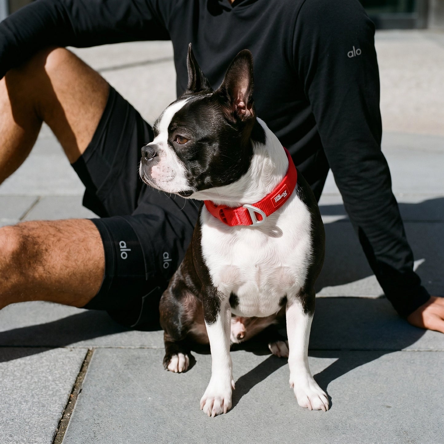 Essentials Collar - Red
