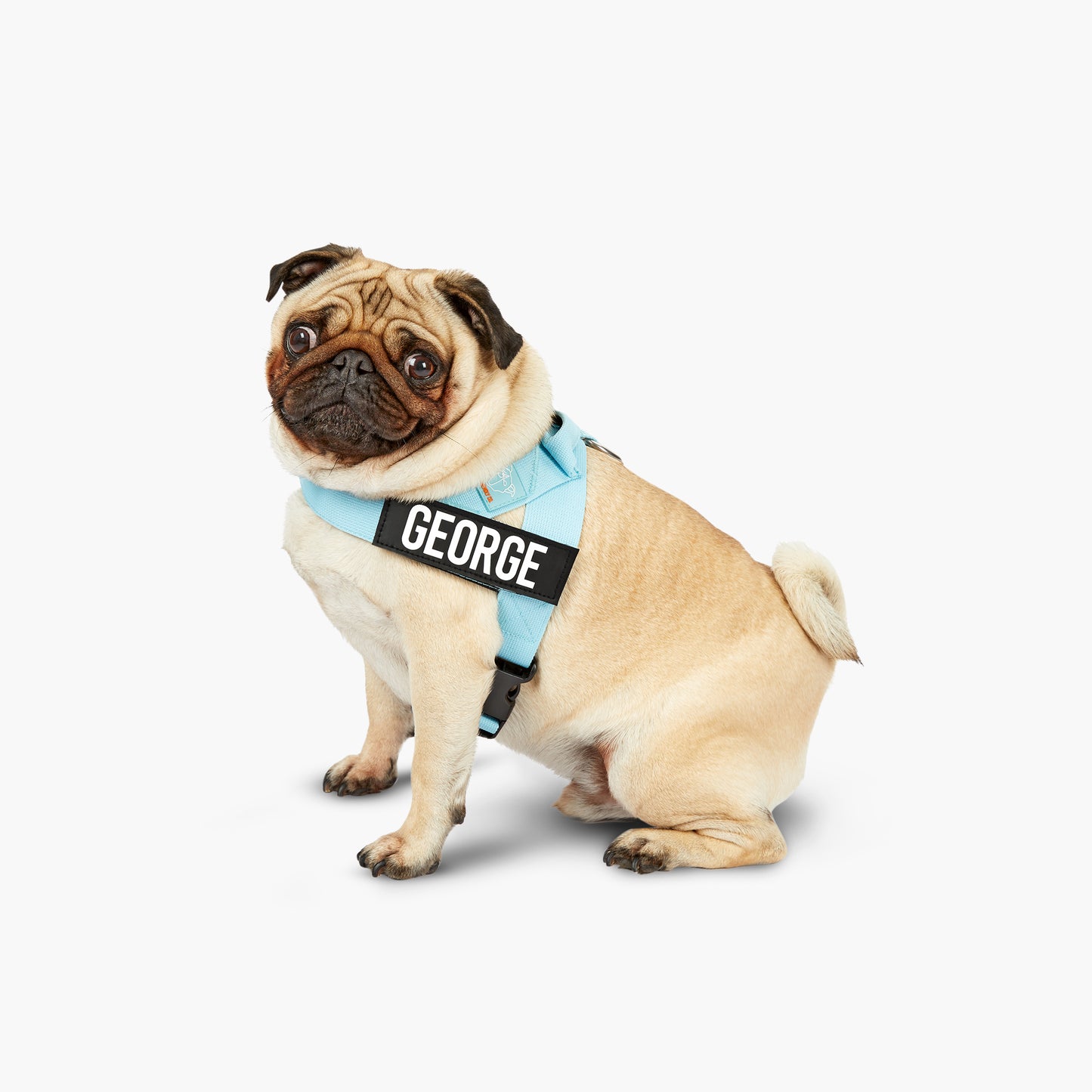 Ultimate No-Pull Bundle