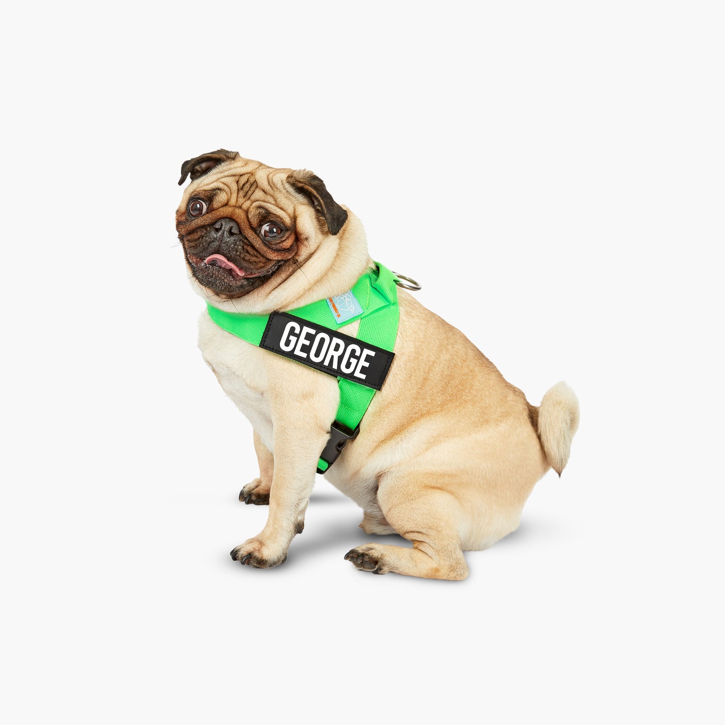 Ultimate No-Pull Bundle