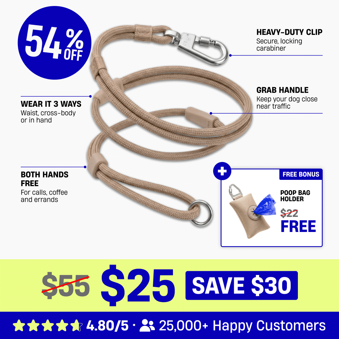 Hands Free Leash + Poop Bag Holder