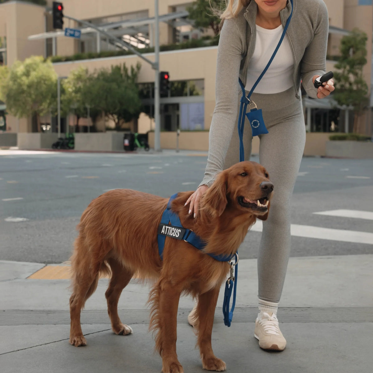 Dog owner wearing the Classic Blue hands-free leash while standing beside a brown dog wearing a blue harness.