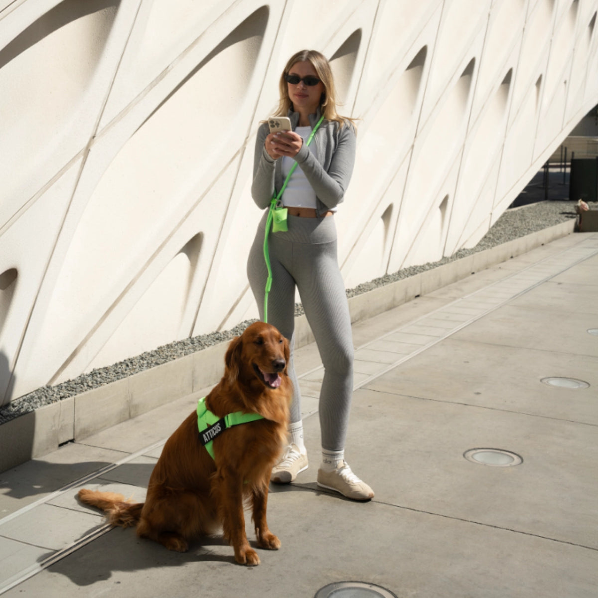Dog owner wearing the Neon Green hands-free leash while walking a dog.
