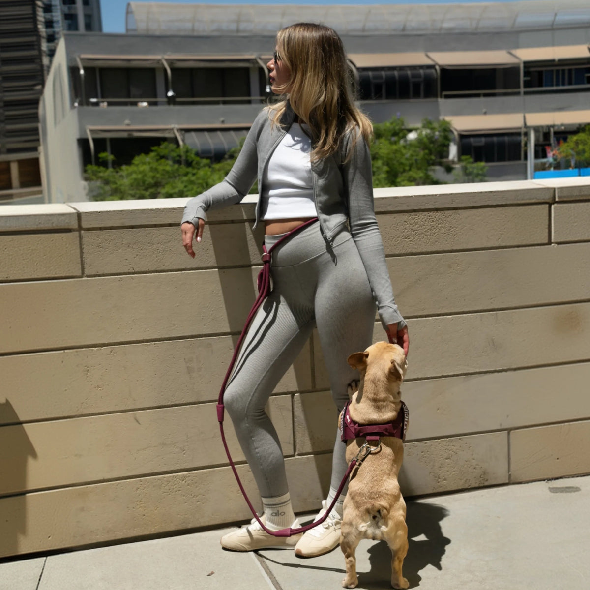 Dog owner wearing the Premium Burgundy hands-free leash around the waist while walking a dog wearing a matching Burgundy harness.