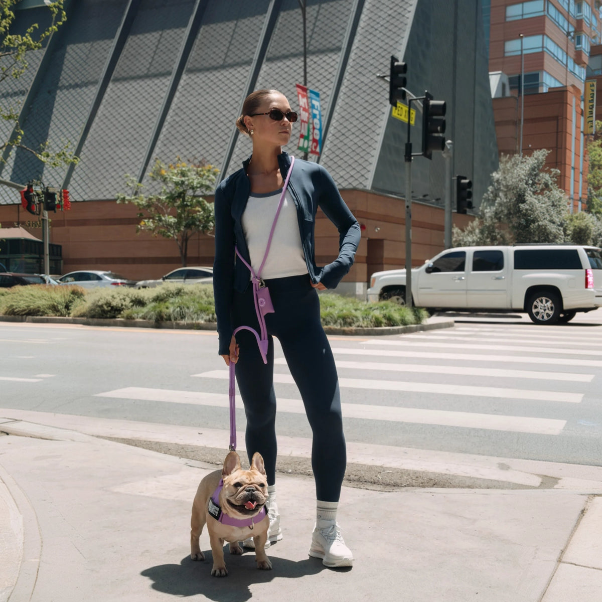 Dog owner wearing the Purple hands-free leash across the body while walking a brown dog in a city setting.