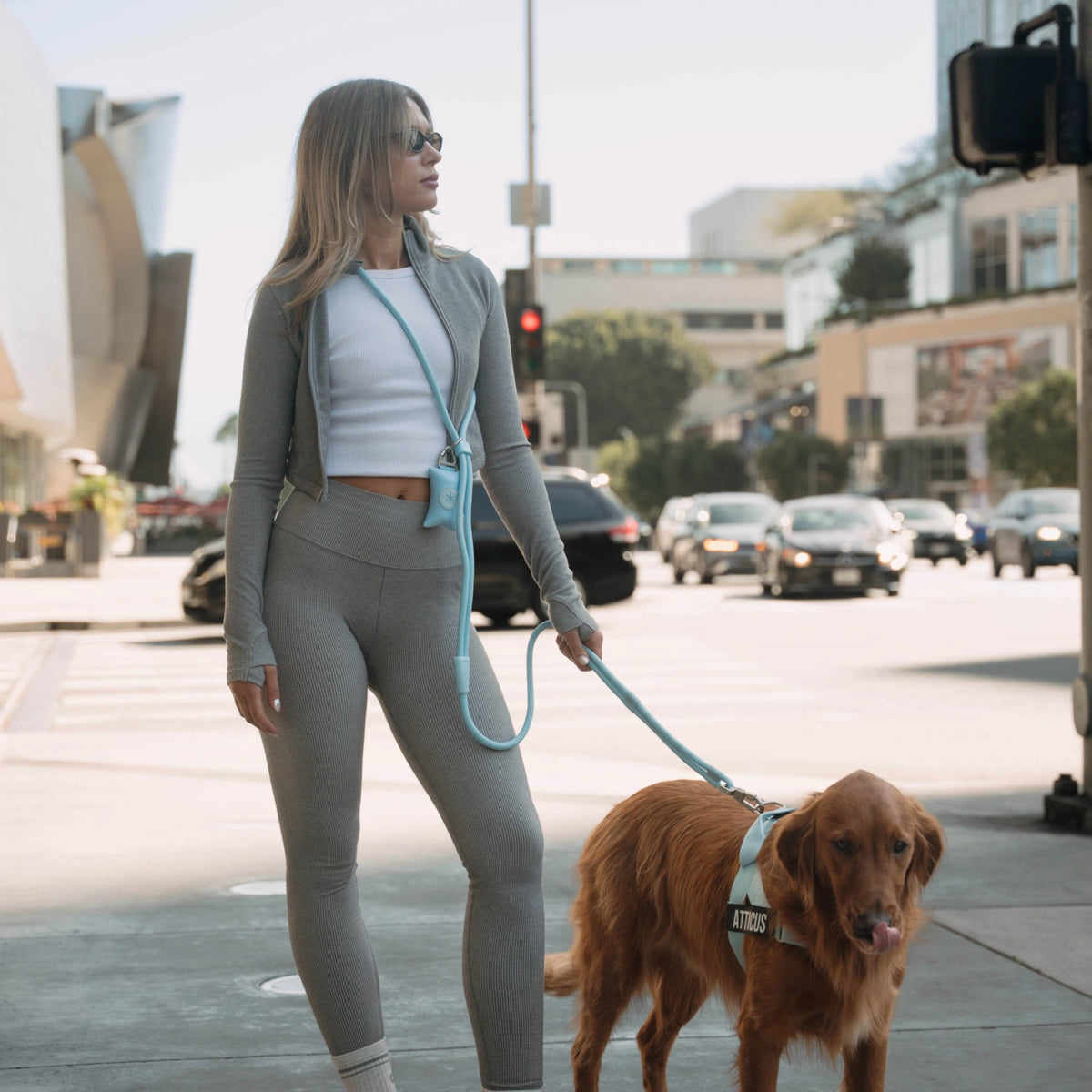 Dog owner wearing the Sky Blue hands-free leash crossbody while walking a brown dog wearing a Sky Blue harness in an urban area.