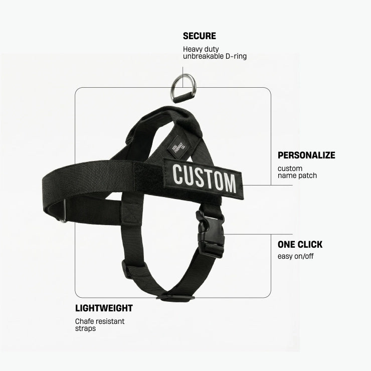 Personalised Dog Harness - Black