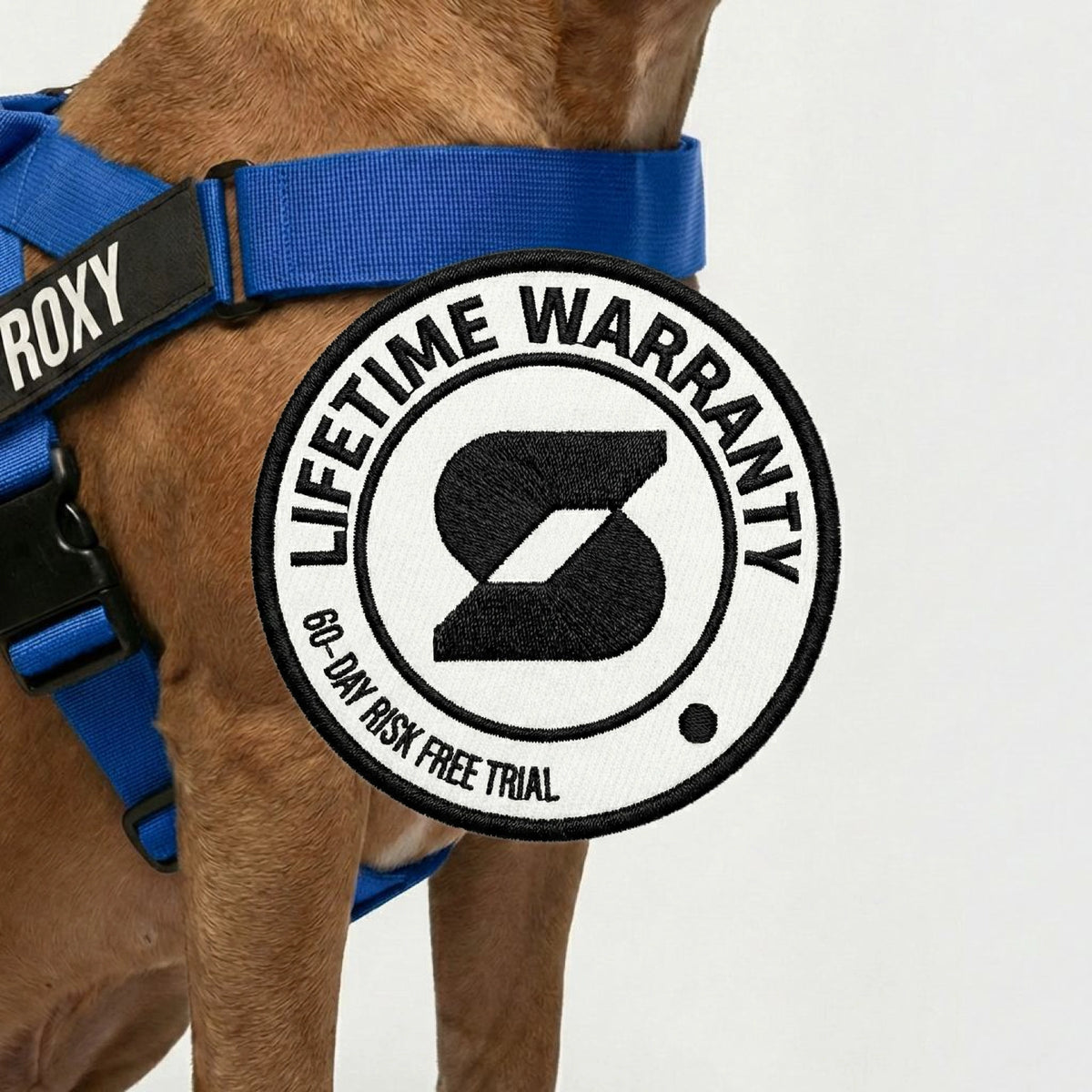 Personalised Dog Harness