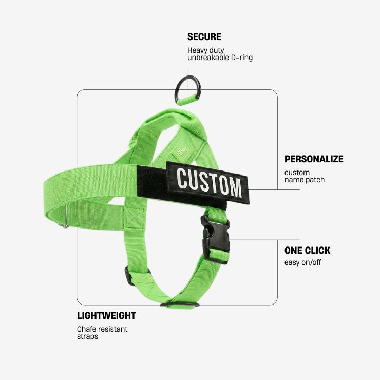 Personalised Dog Harness - Neon Green