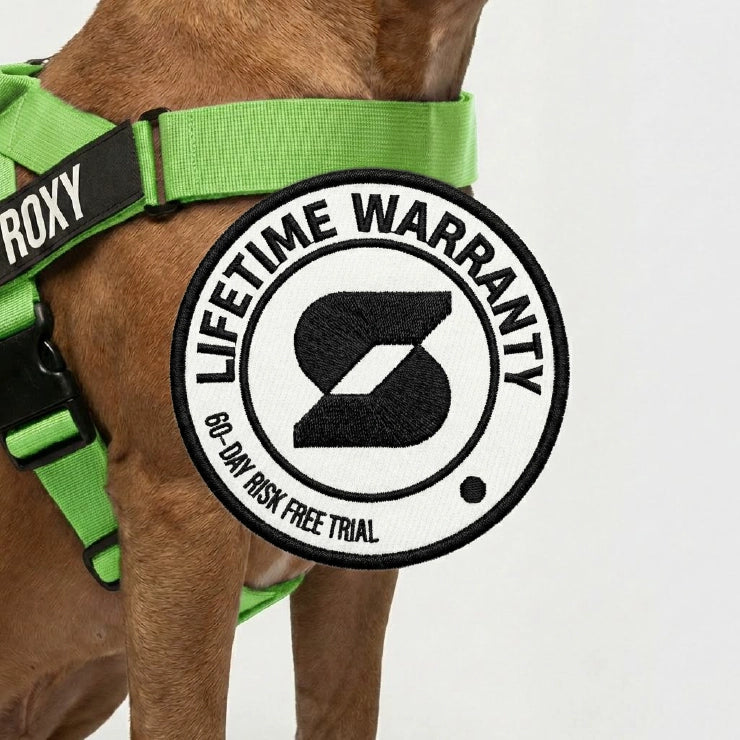 Personalised Dog Harness - Neon Green