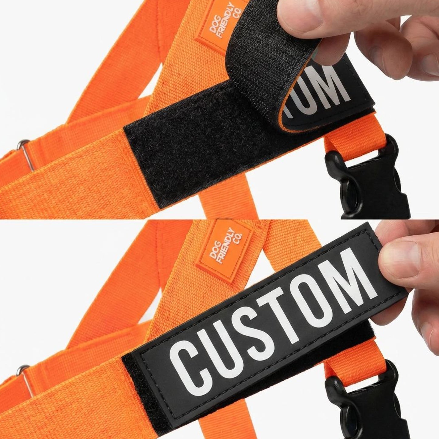 Personalised Dog Harness
