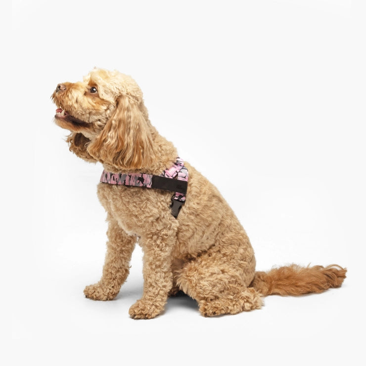 Personalised Dog Harness - Pink Camo
