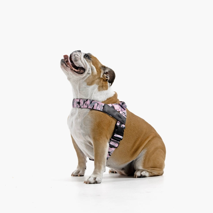 Personalised Dog Harness - Pink Camo