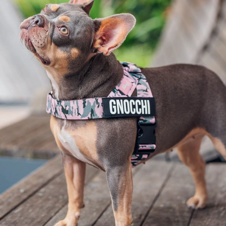 Personalised Dog Harness - Pink Camo