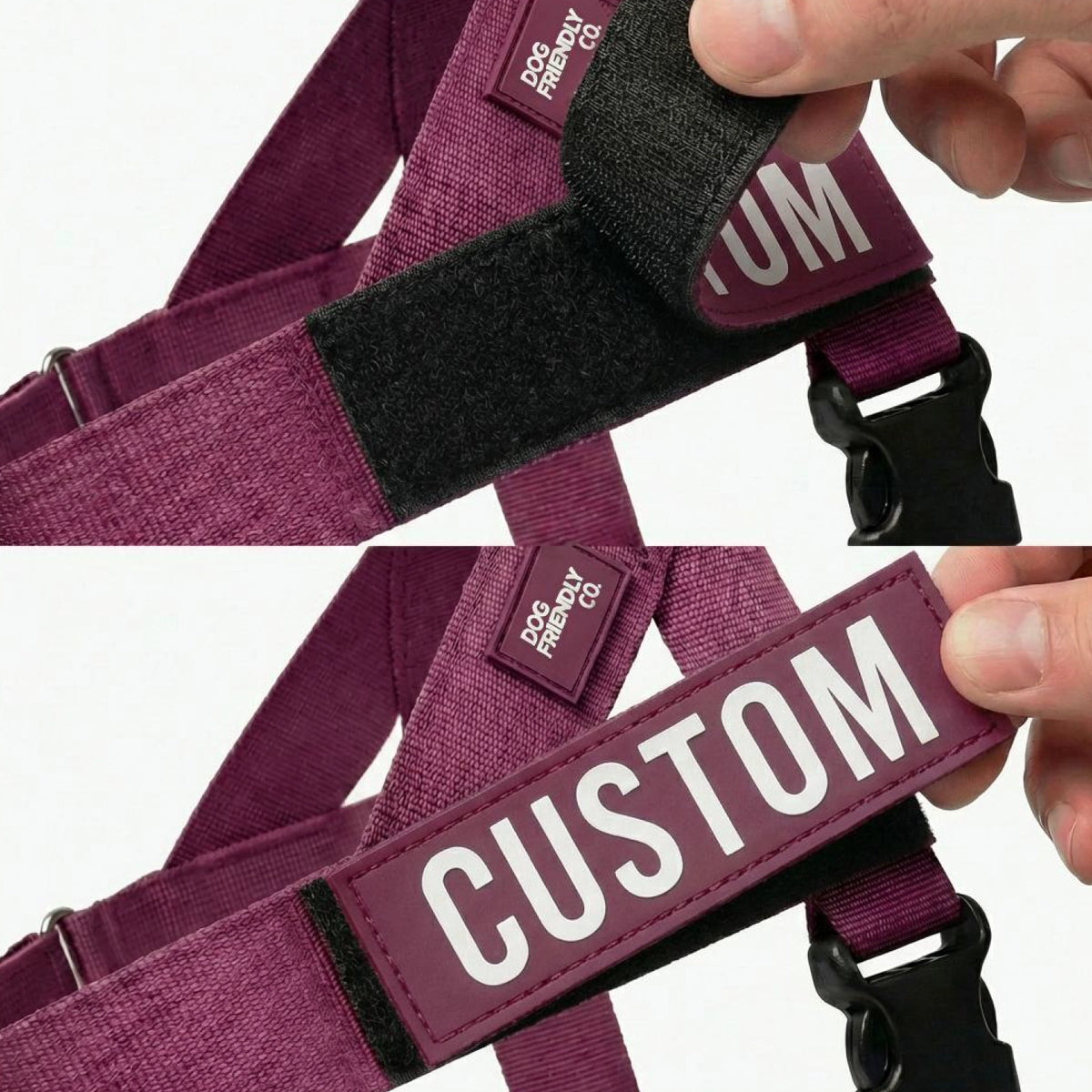 Personalised Dog Harness