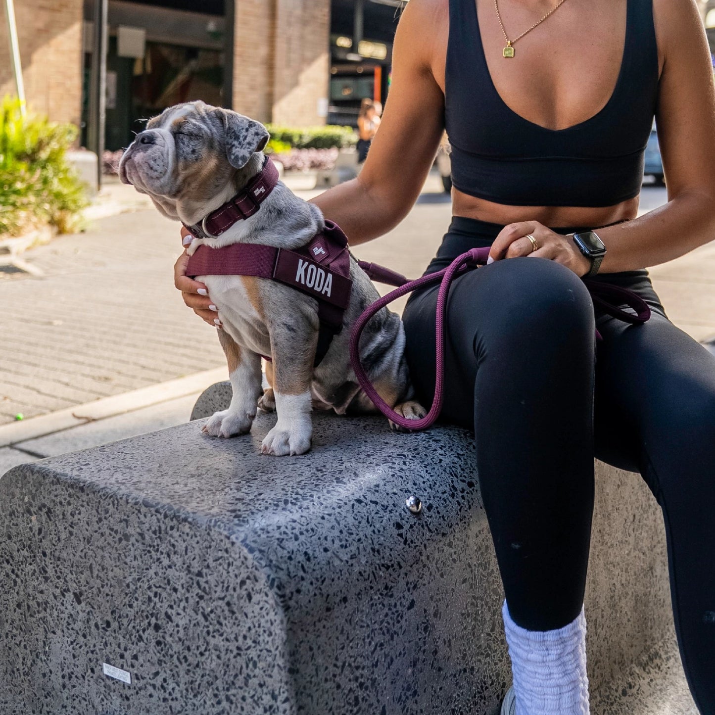 Personalised Dog Harness
