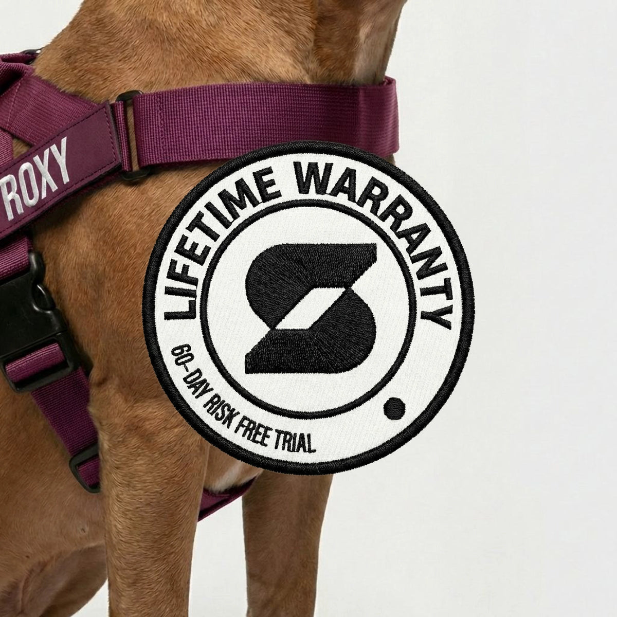Personalised Dog Harness