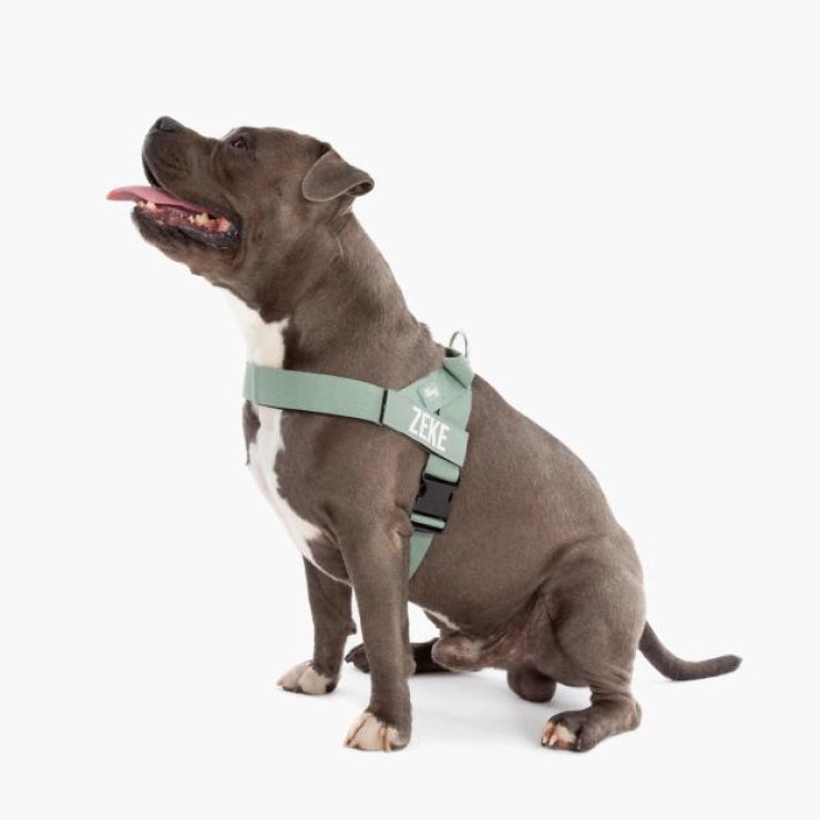 Personalised Dog Harness - Khaki