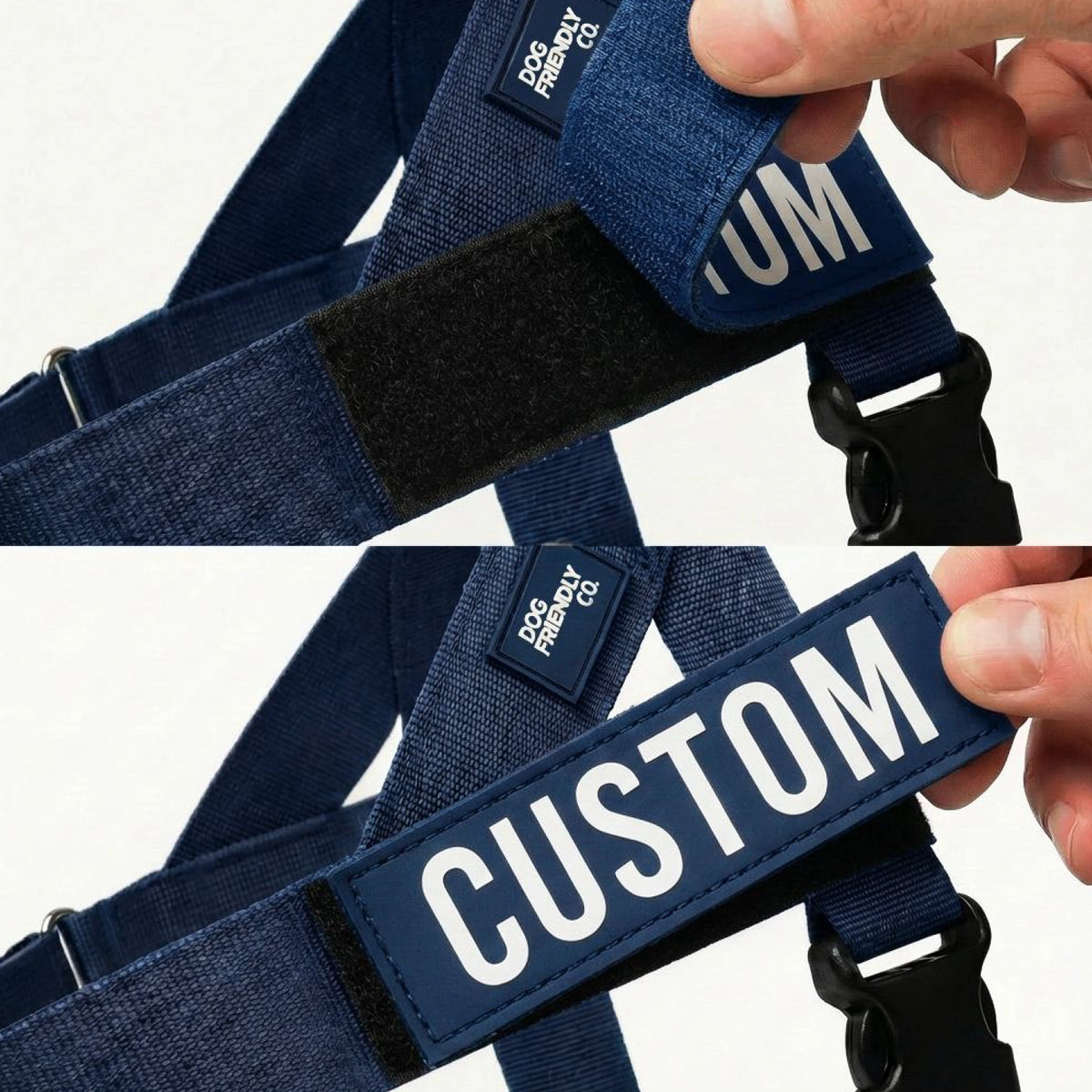 Personalised Dog Harness