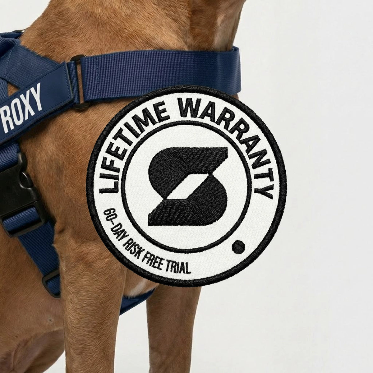 Personalised Dog Harness