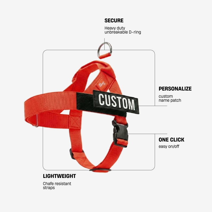 Personalised Dog Harness - Red