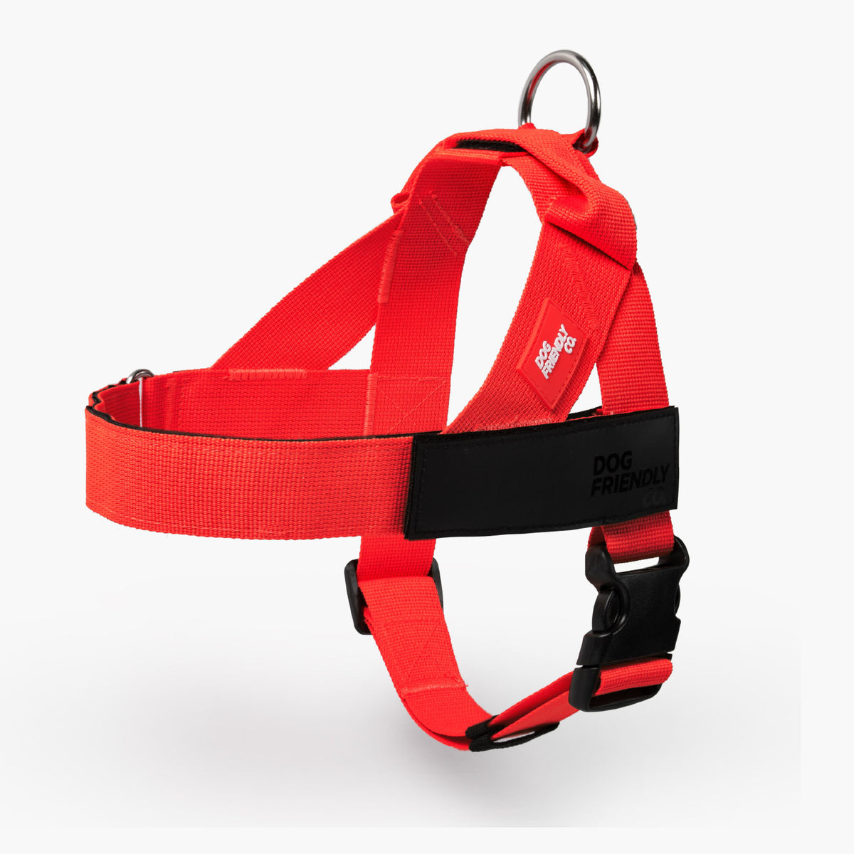Personalised Dog Harness