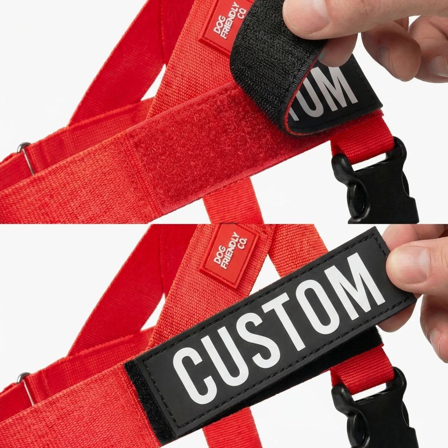 Personalised Dog Harness