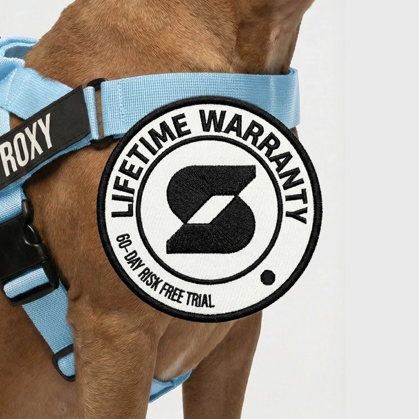 Personalised Dog Harness