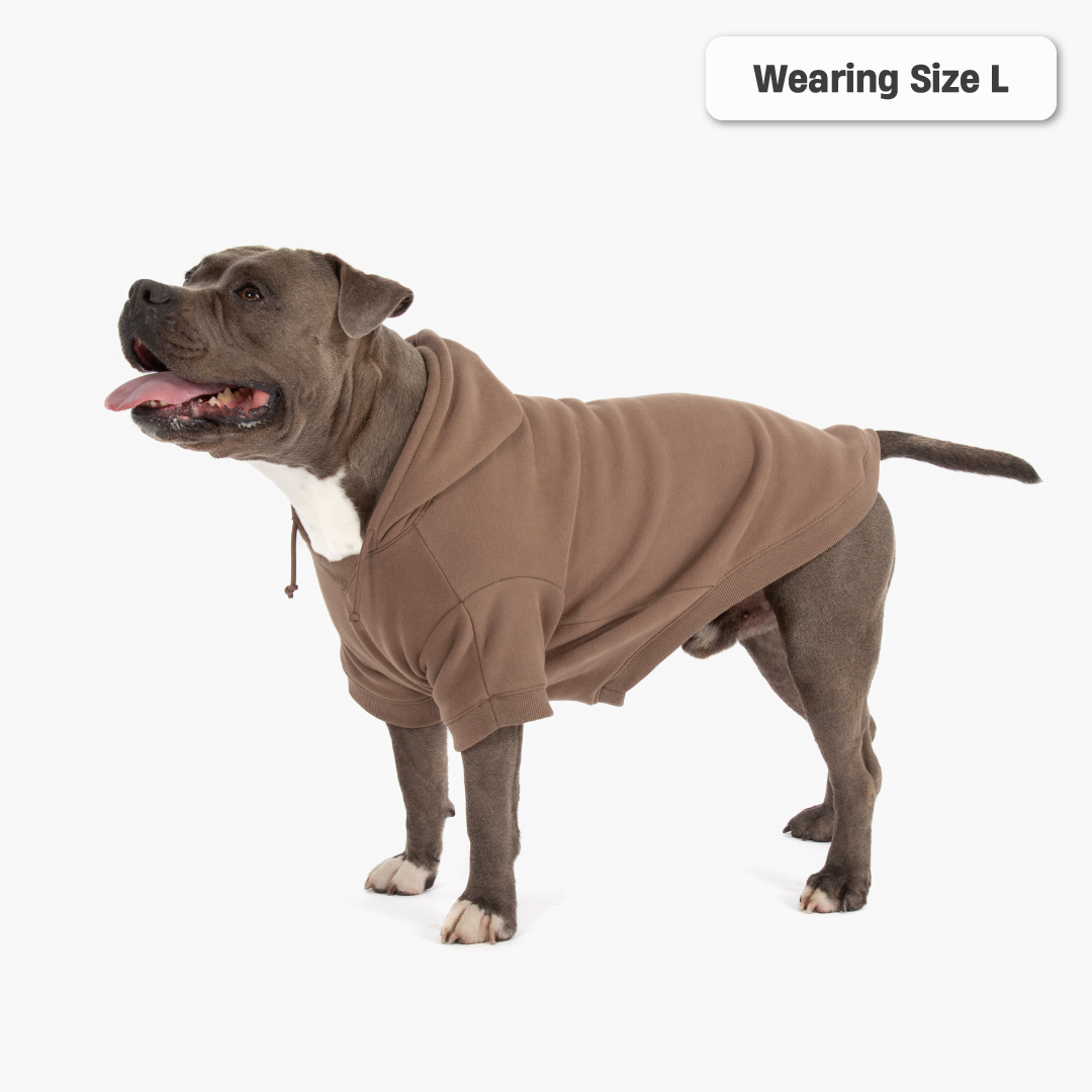Winter Dog Hoodies - Brown