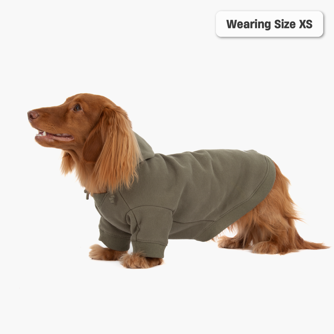 Winter Dog Hoodies - Khaki