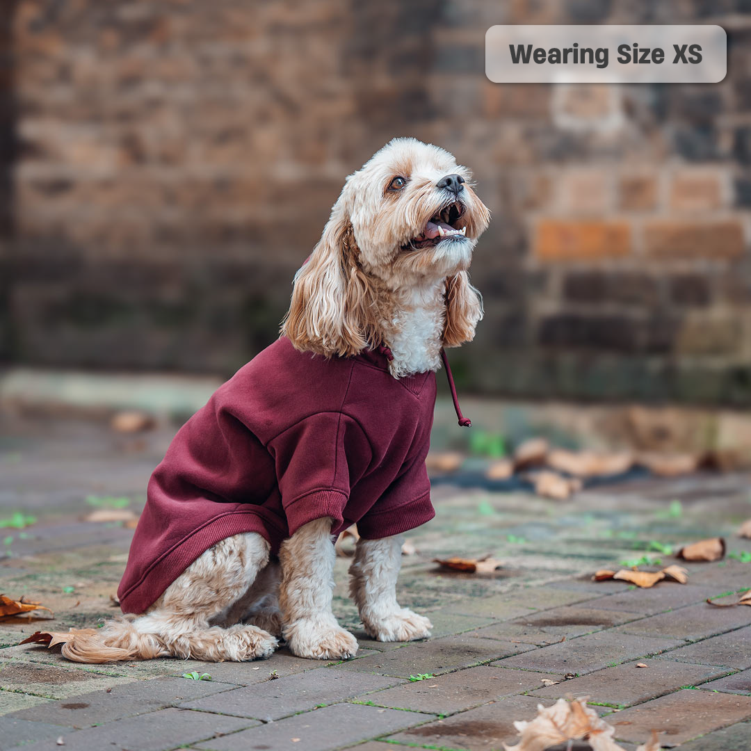Winter Dog Hoodies - Maroon