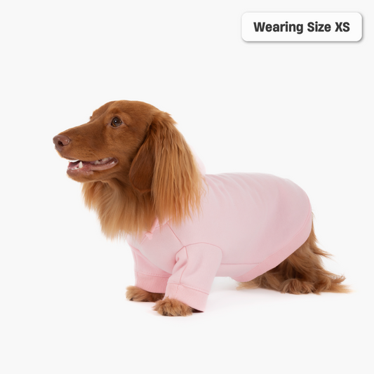 Winter Dog Hoodies - Pink