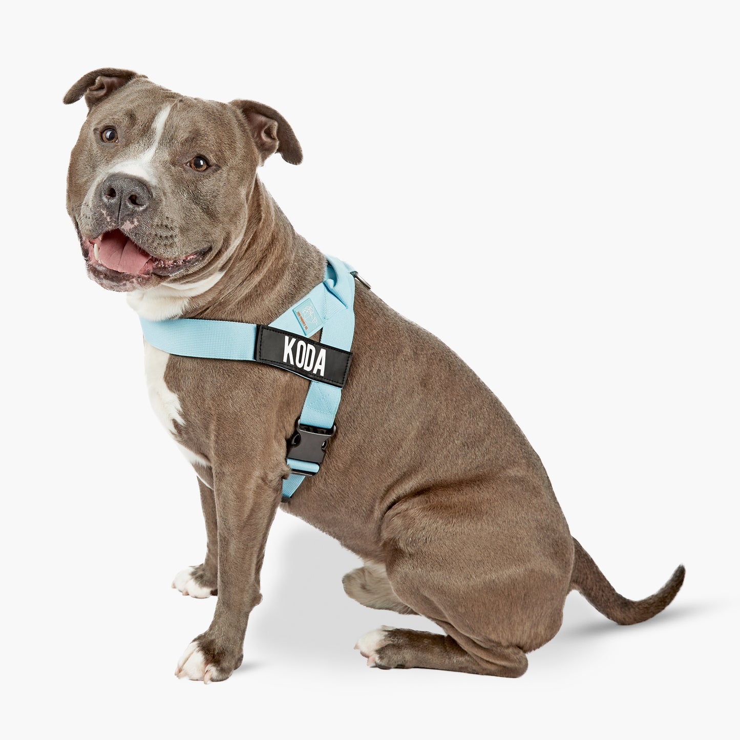 Ultimate No-Pull Bundle