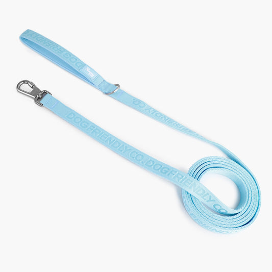 Long Dog Leash - Sky Blue