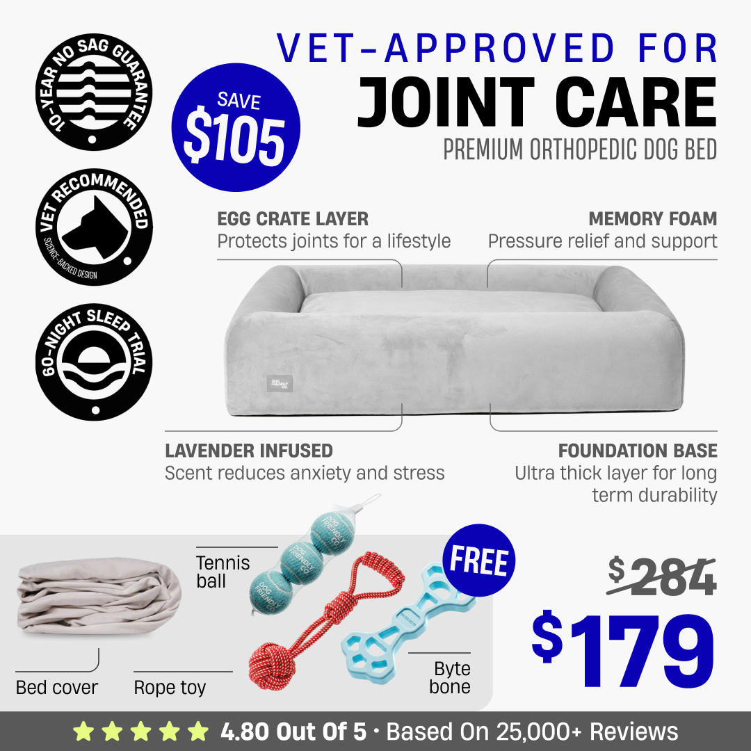 Premium Orthopedic Dog Bed + FREE Bed Cover & Pack Of Toys