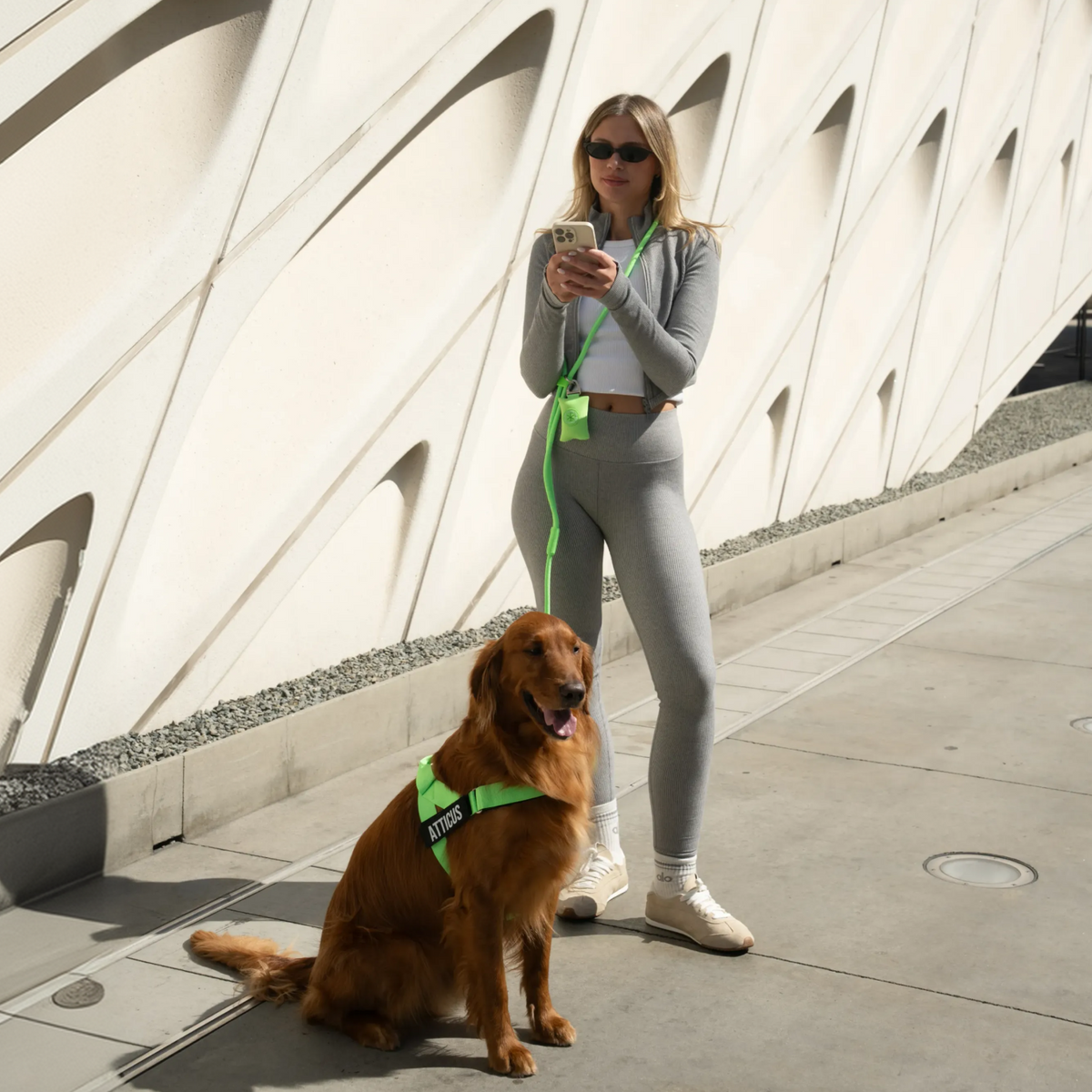 Neon green poop bag holder clipped to a dog leash during a walk