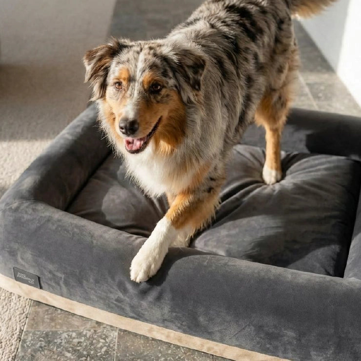 Replacement Cover - Charcoal