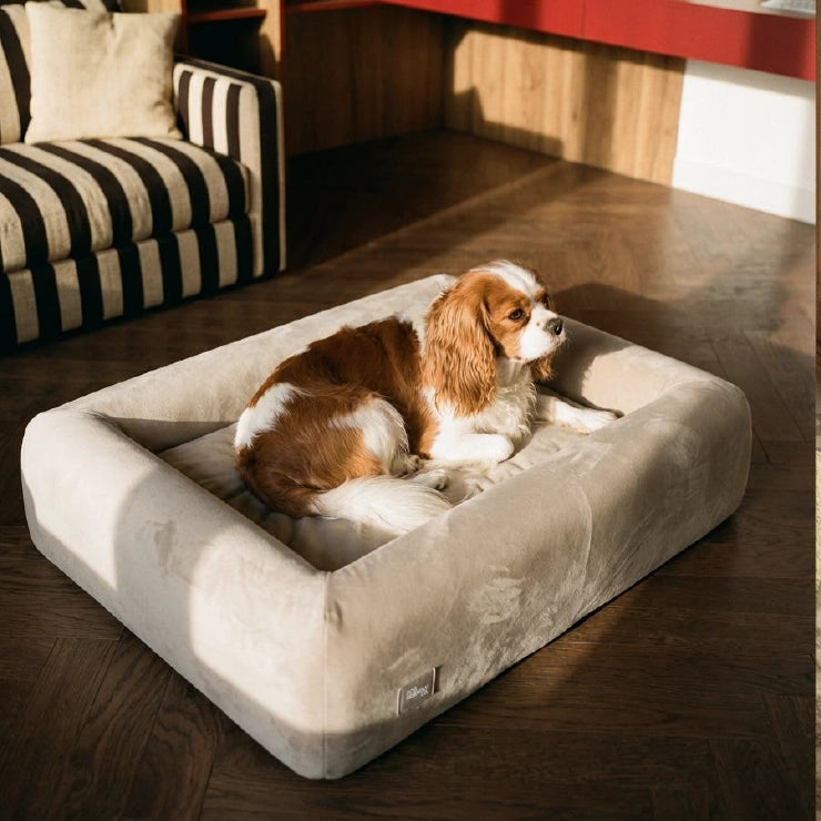 Velvet Easy Fit Dog Bed Cover - Beige